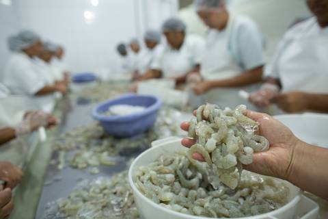 Fotografias para o Banco de imagens da Confederação da Agricultura e Pecuária do Brasil - CNA. Fotos Wenderson Araujo/Trilux'