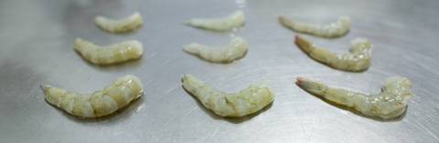 Fotografias para o Banco de imagens da Confederação da Agricultura e Pecuária do Brasil - CNA. Fotos Wenderson Araujo/Trilux'