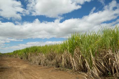 Fotografias para o Banco de imagens da Confederação da Agricultura e Pecuária do Brasil - CNA. Fotos Wenderson Araujo/Trilux'