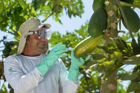 Fotografias para o Banco de imagens da Confederação da Agricultura e Pecuária do Brasil - CNA. Fotos Wenderson Araujo/Trilux'