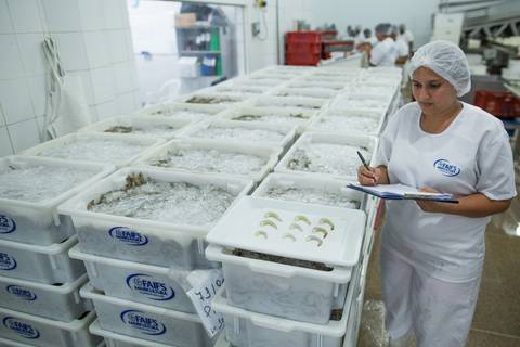 Fotografias para o Banco de imagens da Confederação da Agricultura e Pecuária do Brasil - CNA. Fotos Wenderson Araujo/Trilux'