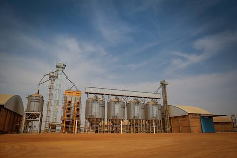 Ensaio fotográfico na Fazenda Wehrmann. Fotos: Wenderson Araujo/Trilux'