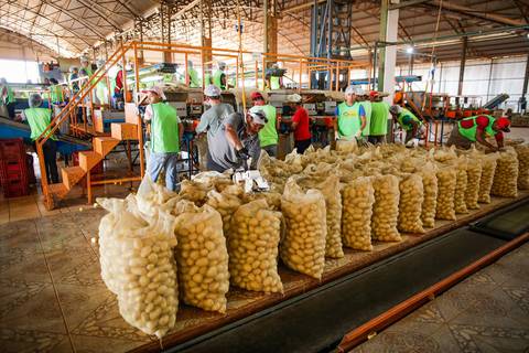 Ensaio fotográfico na Fazenda Wehrmann. Fotos: Wenderson Araujo/Trilux'