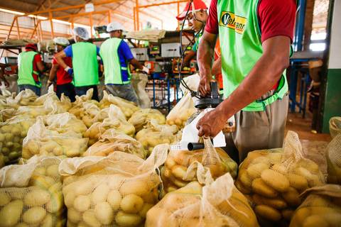 Ensaio fotográfico na Fazenda Wehrmann. Fotos: Wenderson Araujo/Trilux'