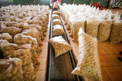 Ensaio fotográfico na Fazenda Wehrmann. Fotos: Wenderson Araujo/Trilux'