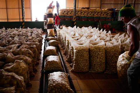 Ensaio fotográfico na Fazenda Wehrmann. Fotos: Wenderson Araujo/Trilux'