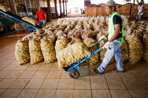 Ensaio fotográfico na Fazenda Wehrmann. Fotos: Wenderson Araujo/Trilux'