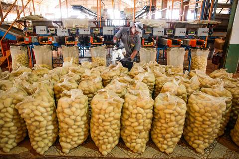 Ensaio fotográfico na Fazenda Wehrmann. Fotos: Wenderson Araujo/Trilux'