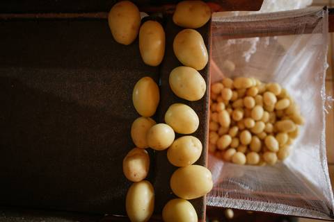 Ensaio fotográfico na Fazenda Wehrmann. Fotos: Wenderson Araujo/Trilux'