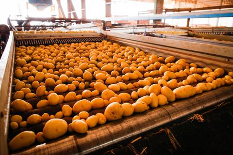 Ensaio fotográfico na Fazenda Wehrmann. Fotos: Wenderson Araujo/Trilux'