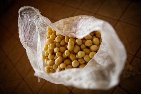 Ensaio fotográfico na Fazenda Wehrmann. Fotos: Wenderson Araujo/Trilux'