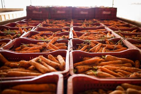 Ensaio fotográfico na Fazenda Wehrmann. Fotos: Wenderson Araujo/Trilux'
