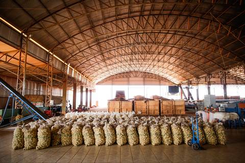 Ensaio fotográfico na Fazenda Wehrmann. Fotos: Wenderson Araujo/Trilux'