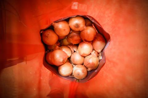 Ensaio fotográfico na Fazenda Wehrmann. Fotos: Wenderson Araujo/TriluxEnsaio fotográfico na Fazenda Wehrmann. Fotos: Wenderson Araujo/Trilux'