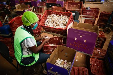 Ensaio fotográfico na Fazenda Wehrmann. Fotos: Wenderson Araujo/Trilux'