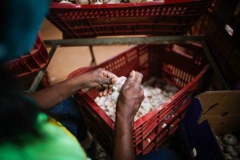 Ensaio fotográfico na Fazenda Wehrmann. Fotos: Wenderson Araujo/Trilux'