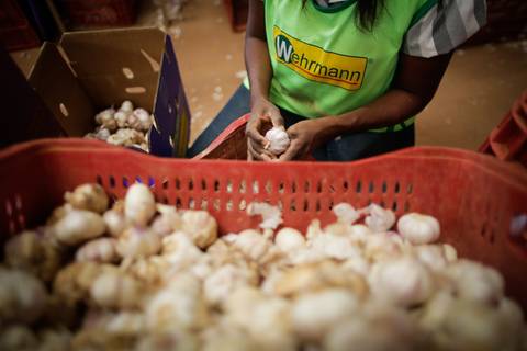 Ensaio fotográfico na Fazenda Wehrmann. Fotos: Wenderson Araujo/Trilux'