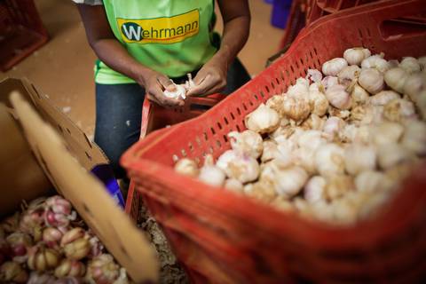 Ensaio fotográfico na Fazenda Wehrmann. Fotos: Wenderson Araujo/Trilux'