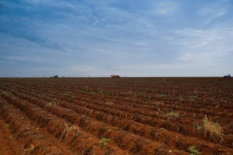 Ensaio fotográfico na Fazenda Wehrmann. Fotos: Wenderson Araujo/Trilux'