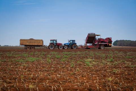 Ensaio fotográfico na Fazenda Wehrmann. Fotos: Wenderson Araujo/Trilux'
