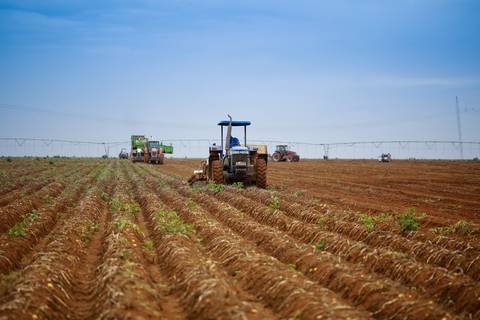 Ensaio fotográfico na Fazenda Wehrmann. Fotos: Wenderson Araujo/Trilux'