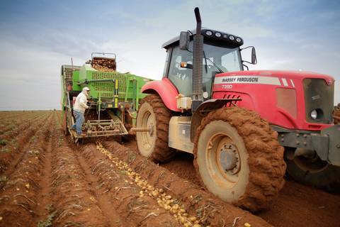 Ensaio fotográfico na Fazenda Wehrmann. Fotos: Wenderson Araujo/Trilux'