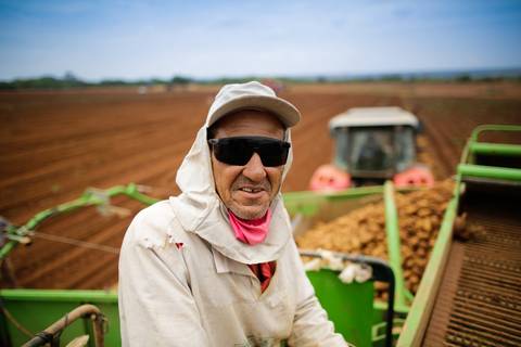 Ensaio fotográfico na Fazenda Wehrmann. Fotos: Wenderson Araujo/Trilux'