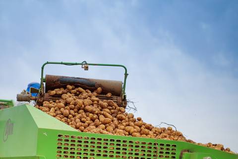 Ensaio fotográfico na Fazenda Wehrmann. Fotos: Wenderson Araujo/Trilux'