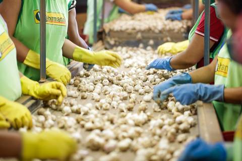 Ensaio fotográfico na Fazenda Wehrmann. Fotos: Wenderson Araujo/Trilux'