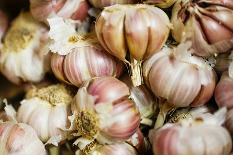 Ensaio fotográfico na Fazenda Wehrmann. Fotos: Wenderson Araujo/Trilux'