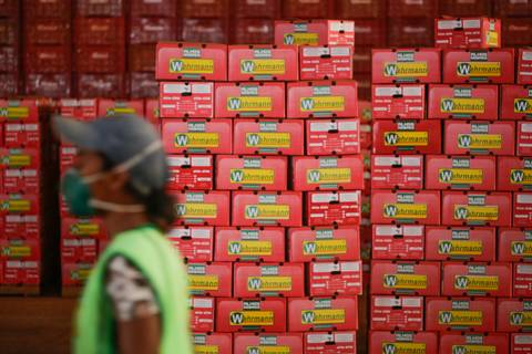 Ensaio fotográfico na Fazenda Wehrmann. Fotos: Wenderson Araujo/Trilux'