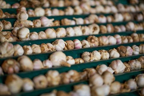 Ensaio fotográfico na Fazenda Wehrmann. Fotos: Wenderson Araujo/Trilux'