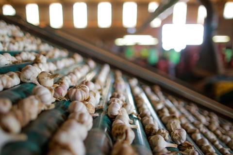 Ensaio fotográfico na Fazenda Wehrmann. Fotos: Wenderson Araujo/Trilux'