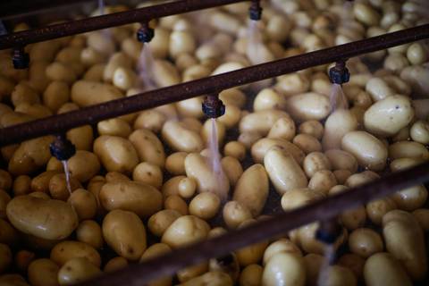 Ensaio fotográfico na Fazenda Wehrmann. Fotos: Wenderson Araujo/Trilux'