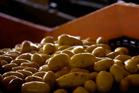 Ensaio fotográfico na Fazenda Wehrmann. Fotos: Wenderson Araujo/Trilux'