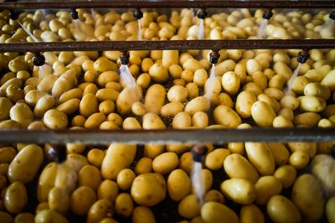 Ensaio fotográfico na Fazenda Wehrmann. Fotos: Wenderson Araujo/TriluxEnsaio fotográfico na Fazenda Wehrmann. Fotos: Wenderson Araujo/Trilux'