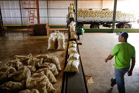 Ensaio fotográfico na Fazenda Wehrmann. Fotos: Wenderson Araujo/Trilux'