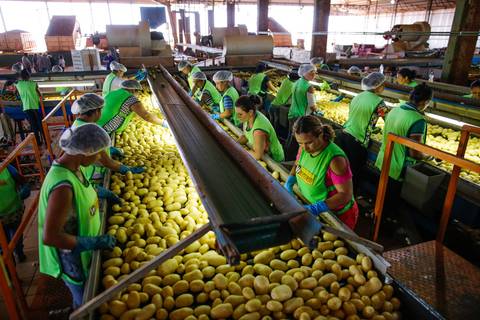 Ensaio fotográfico na Fazenda Wehrmann. Fotos: Wenderson Araujo/Trilux'