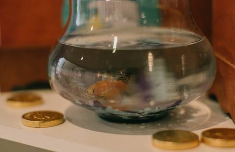 peixes na decoração de aniversario - tema pequena sereia'