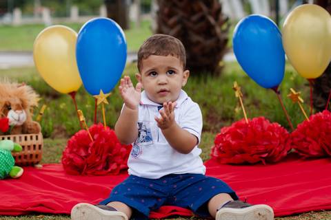 tema pequeno príncipe '