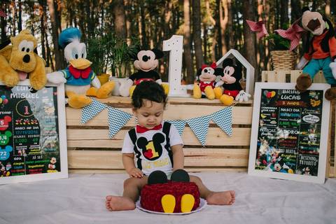 ensaio fotográfico smash the cake'