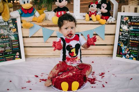 smash the cake turma do michey'