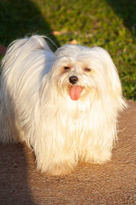 15 anos -Kimberlly - Eliseu Batista Fotografia - REVELFILME'