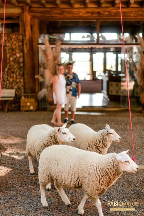 ensaio-casal-pré-casamento-serra-pré-wedding '