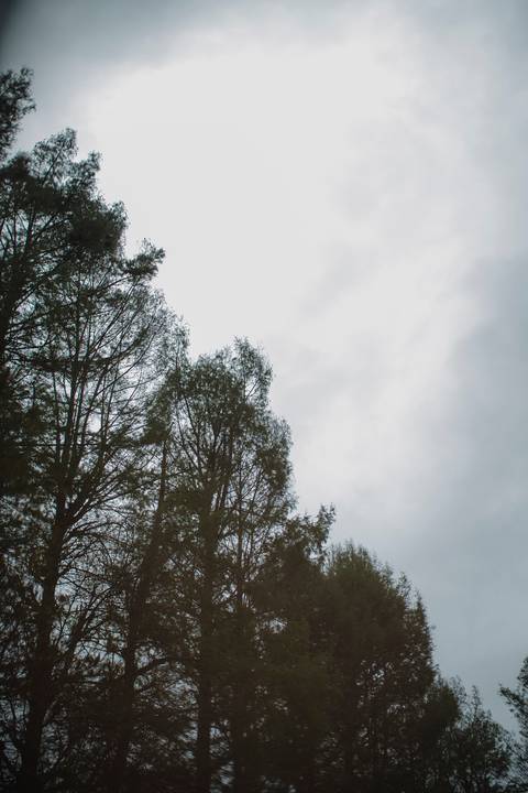 '