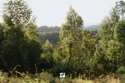 meninas, ensaio pre-wedding gay, lesbica, casamento lgbt, lgbt wedding, noivas, ensaio de casal gay, fotografo de casamento, lugares para pré casamento, ideias para pre wedding, raphael oliveira'