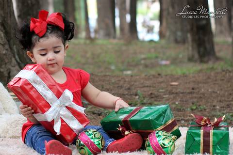 Ensaio-fotografico-externo-tematico-familia-de-de-natal-caieiras-sao-paulo'