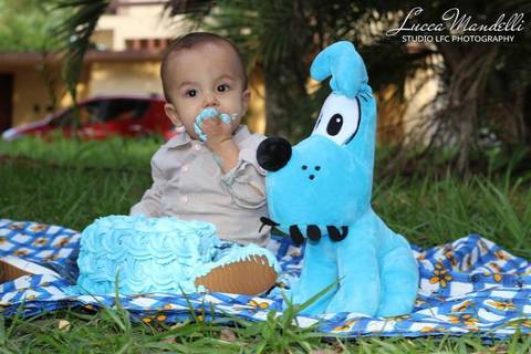 ensaio-fotografico-externo-familia-smash-the-cake-caieiras-sao-paulo'