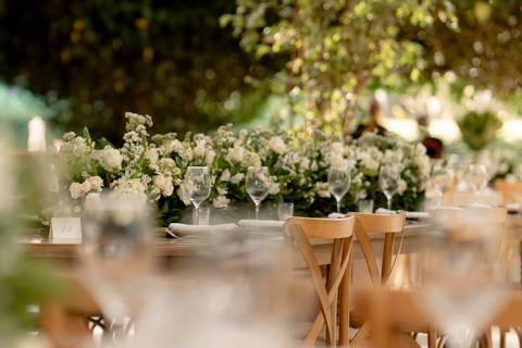 memória. A Fazenda A Querência, com sua arquitetura histórica e natureza exuberante, foi palco de um casamento emocio'