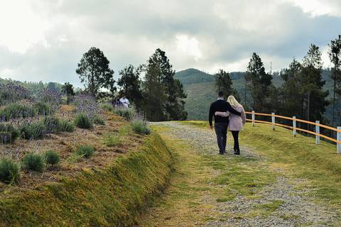 Noivos caminhando no passeio em campos do Jordão SP'